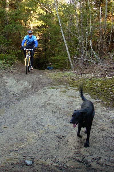 dog_ride_031800.jpg (69384 bytes)