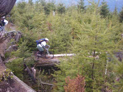 jamie1_042500.jpg (34236 bytes)