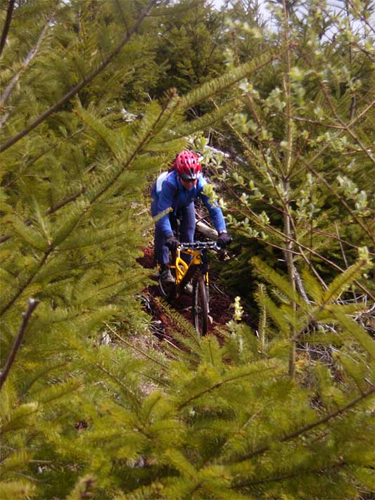 mb1a_042500.jpg (57742 bytes)