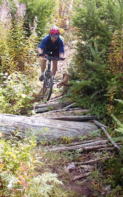 mb_dans_400pix_091500.jpg (99010 bytes)