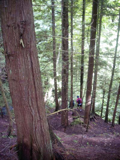 mb_sh_0831000.jpg (36271 bytes)