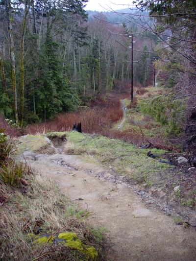 power_030300.jpg (56016 bytes)