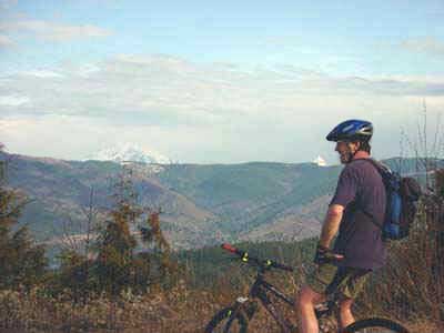 rl2202a.jpg (16455 bytes)