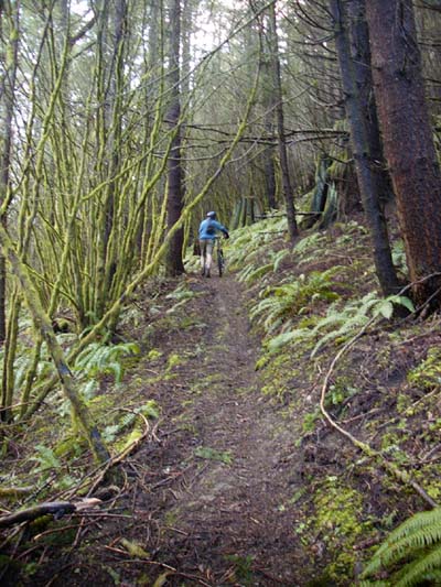 rl2_031900.jpg (71101 bytes)