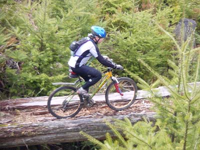 sh1_042500.jpg (40685 bytes)