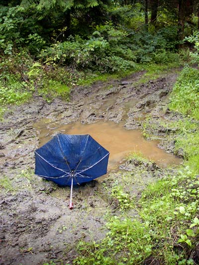 umbrella_082900.jpg (80046 bytes)