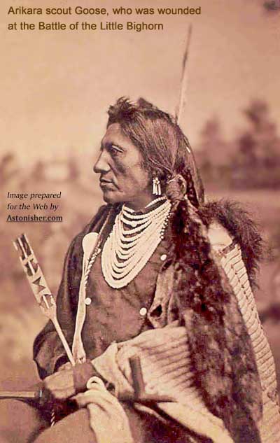 Arikara scout Goose, who was wounded at the battle of the Little Bighorn