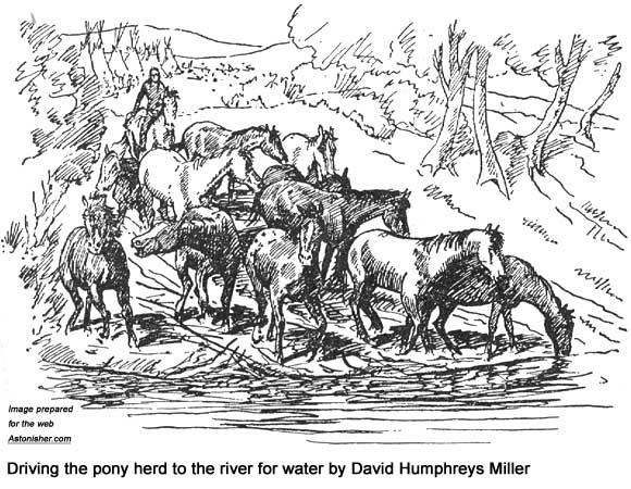 One Bull Driving the pony heard to the river for water by David Humphreys Miller