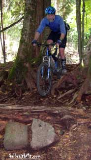 Mongo on Polka Dot Trail, Galbraith Mt.