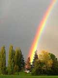 Sumas rainbow