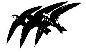 swifts.jpg (8901 bytes)